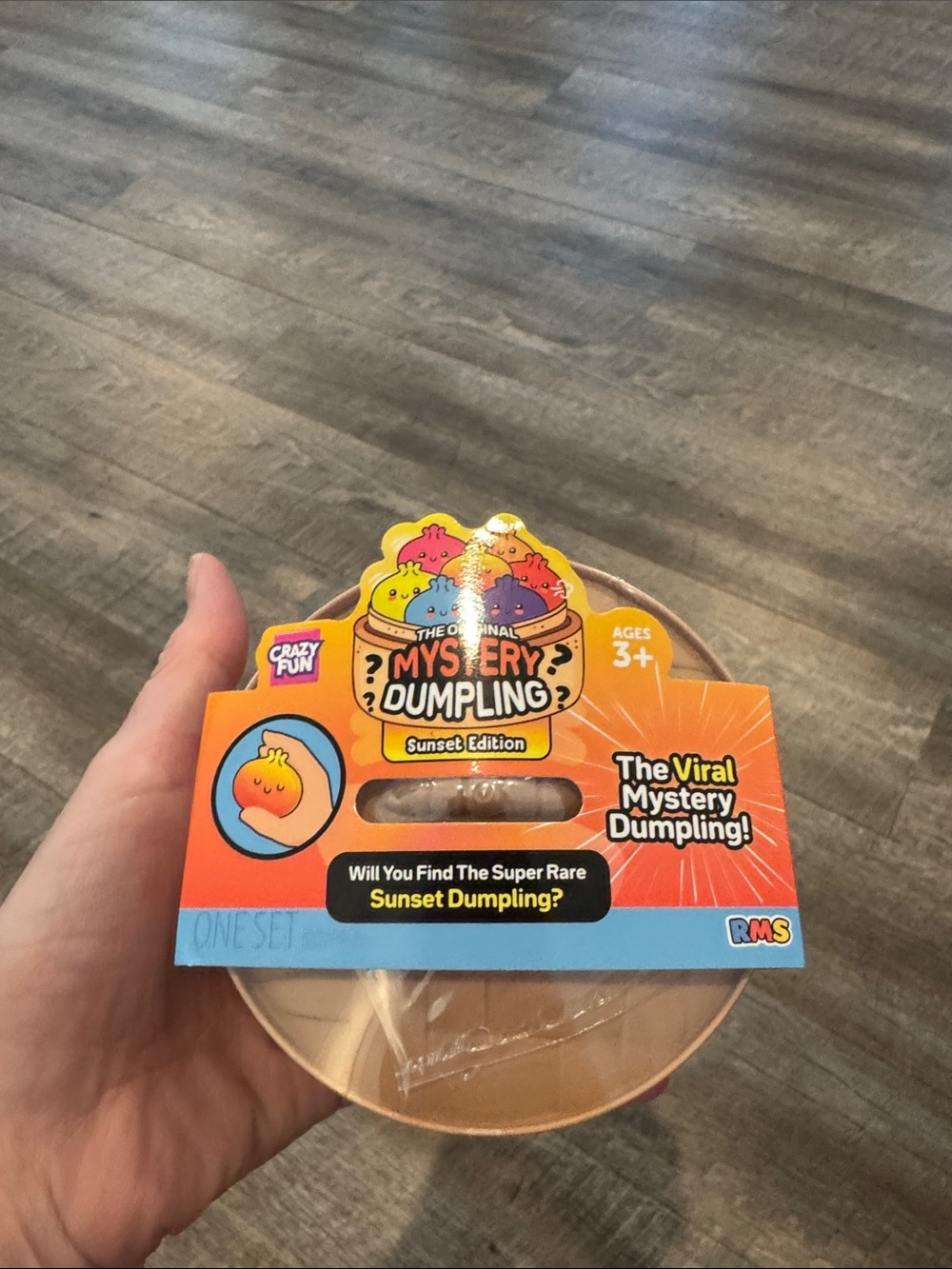 Mystery Dumpling